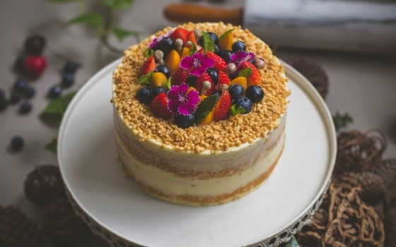 Torta de aceite de la torta del SP del emulsor de Rich Fragrant Flavor Cake Improver Gell 5kg o 20kg/barril