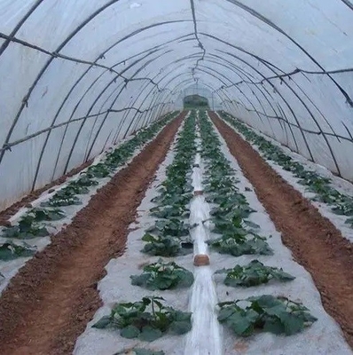 Película de goteo anti aditiva plástica DMG95 de For Agricultural Plastic del agente de FSSC - el empañarse anti -