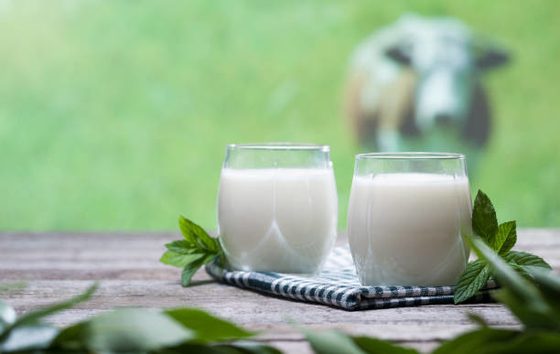 Los emulsores y los estabilizadores del aditivo alimenticio DMG95 previenen la estratificación posible en leche