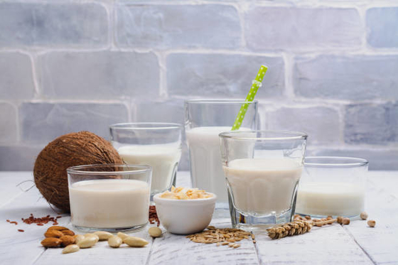 Emulsionante alimentario DMG E471 certificado por FSSC para bebidas proteicas 25 kg / bolsa