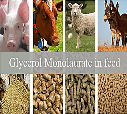 Añadidos de la alimentación: El glicerol Monolaurate GML80 se pulveriza para el animal